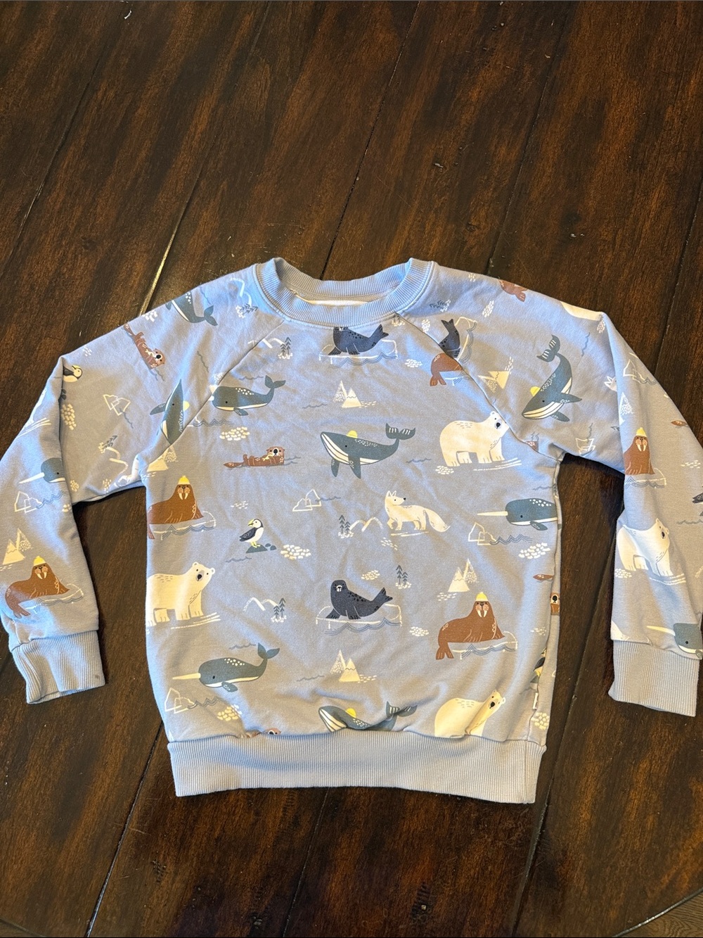 Little Sleepies Light Blue Arctic Animals Sweatshirt